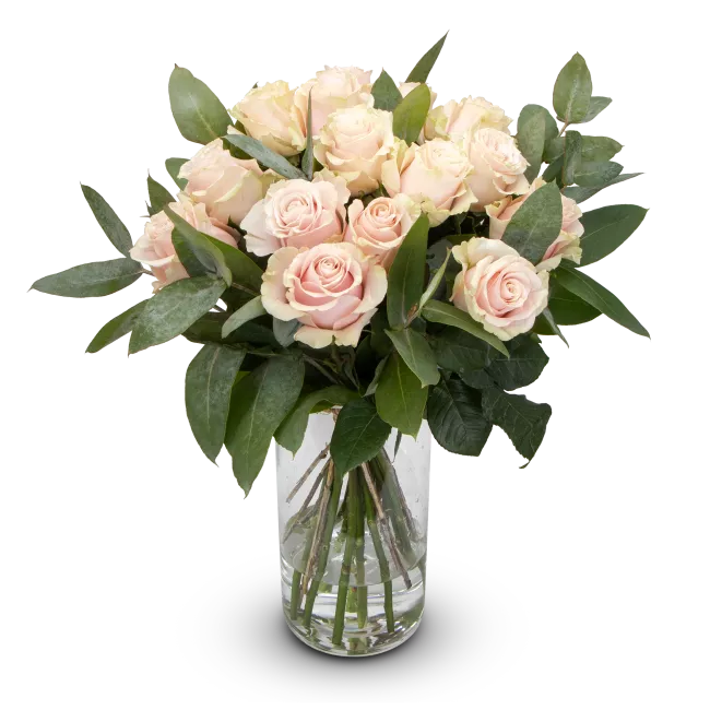 Bouquet of roses